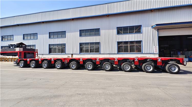 Nicolas SPMT Trailer À Vendre In Chili